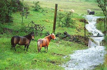 A new river on the ranch