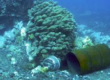 Tsunami debris in Keauhou Bay