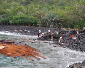 Kealakekua Bay Cleanup