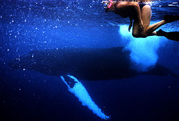 Swimming in bubbles.