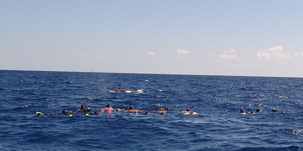 Line of Power in the water, Capt. Stewart Turner