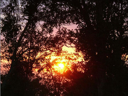 Solar gate from the Ranch