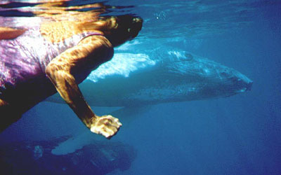 Joan with the Caribbean Humpbacks