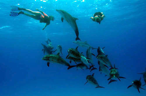 group