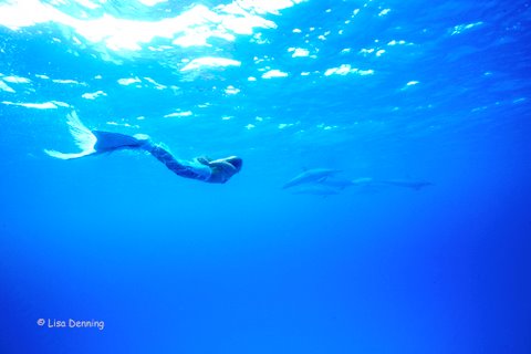 mer