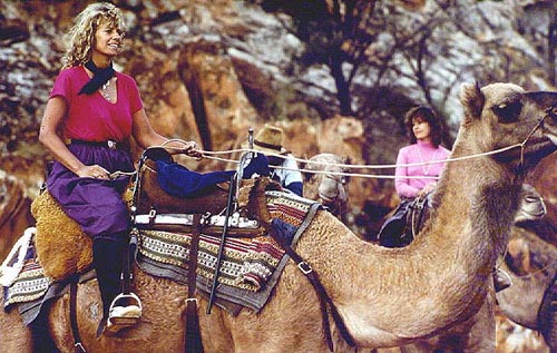 Camel rider!