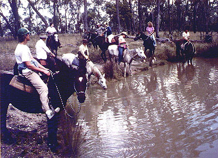 Outback horse trip