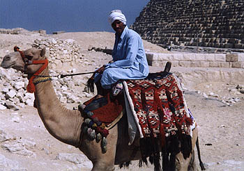 Abdul the cameljockey