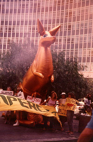 Aussie demonstration