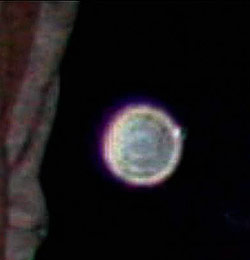 Orb close up next to Jack