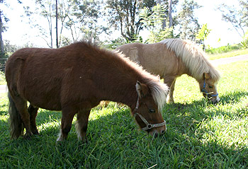 Claaay and Serena