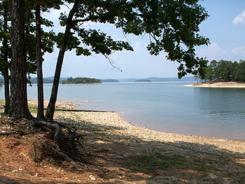 Local lake